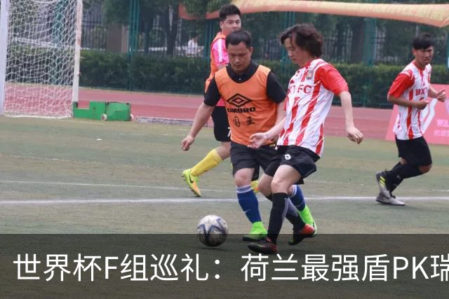 世界杯F组巡礼：荷兰最强盾PK瑞典犀利刀 日本短板明显
